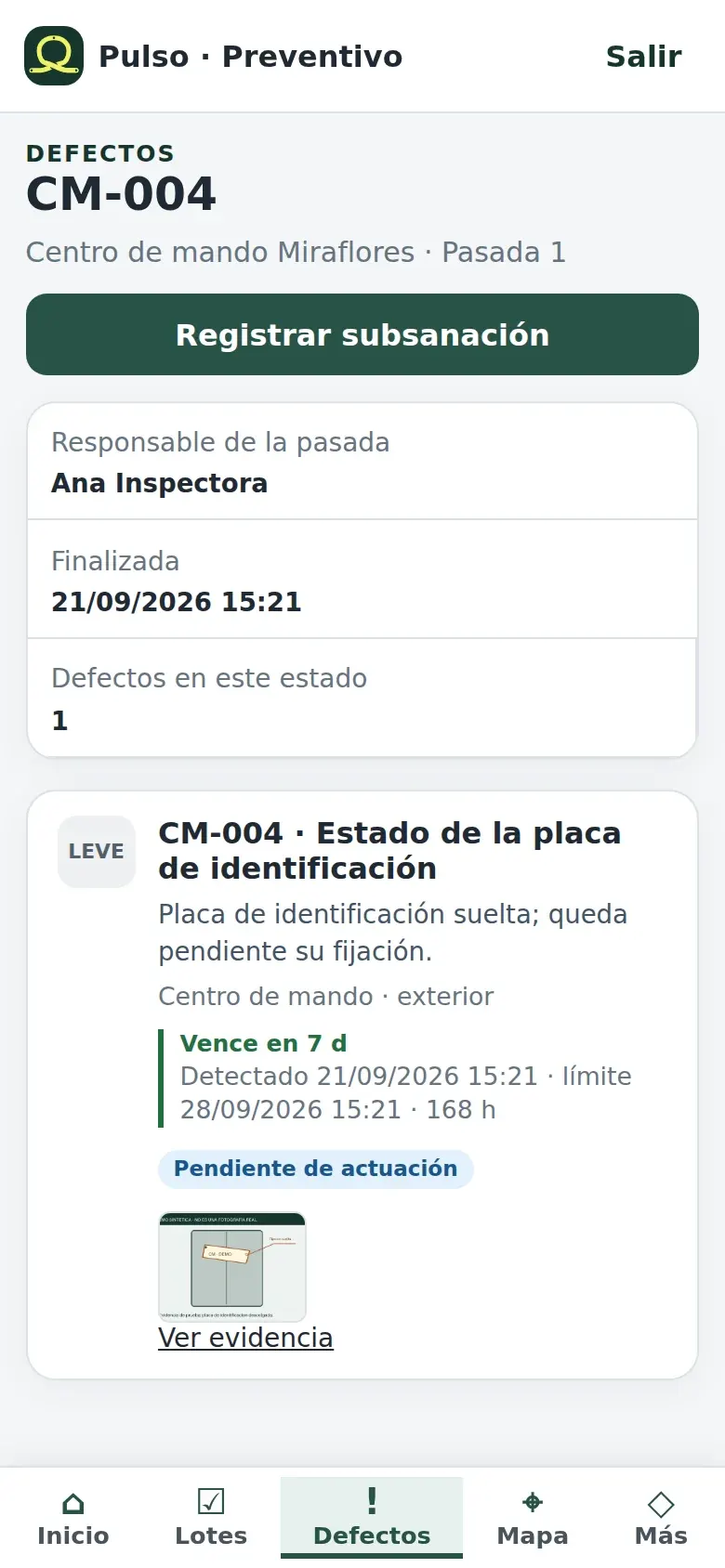 Detalle de un defecto pendiente